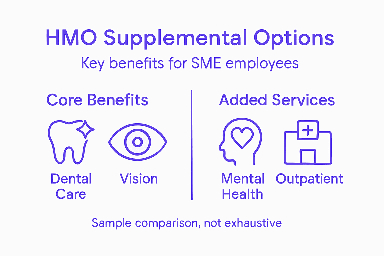 Infographic summarizing HMO coverage types and benefits