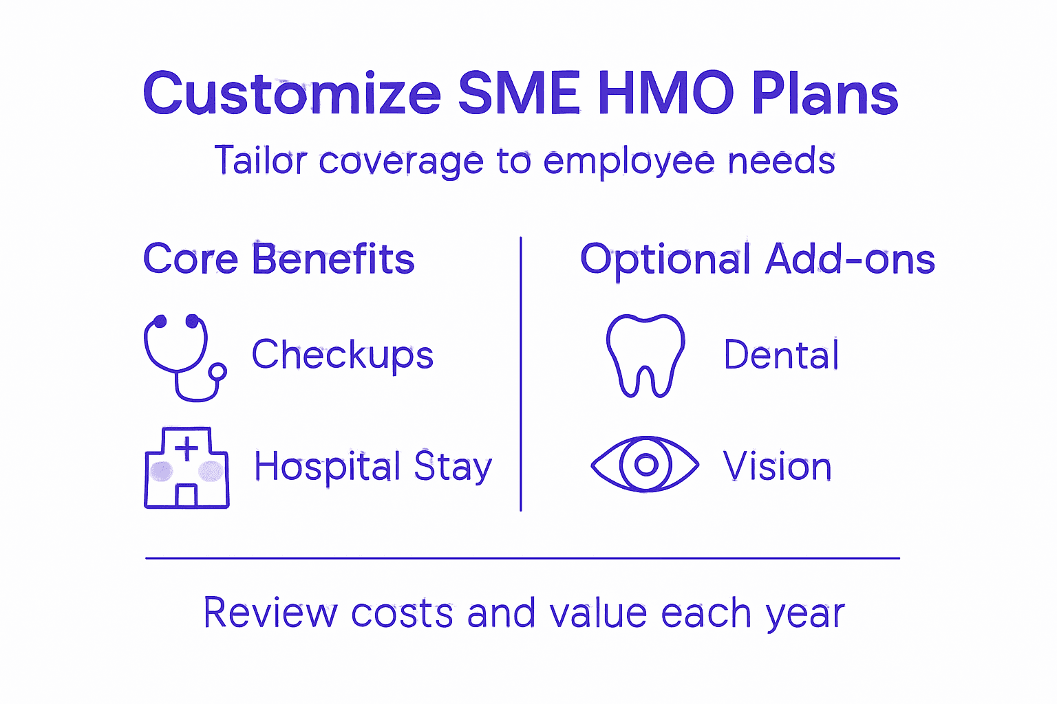 Infographic on customizing SME HMO benefits