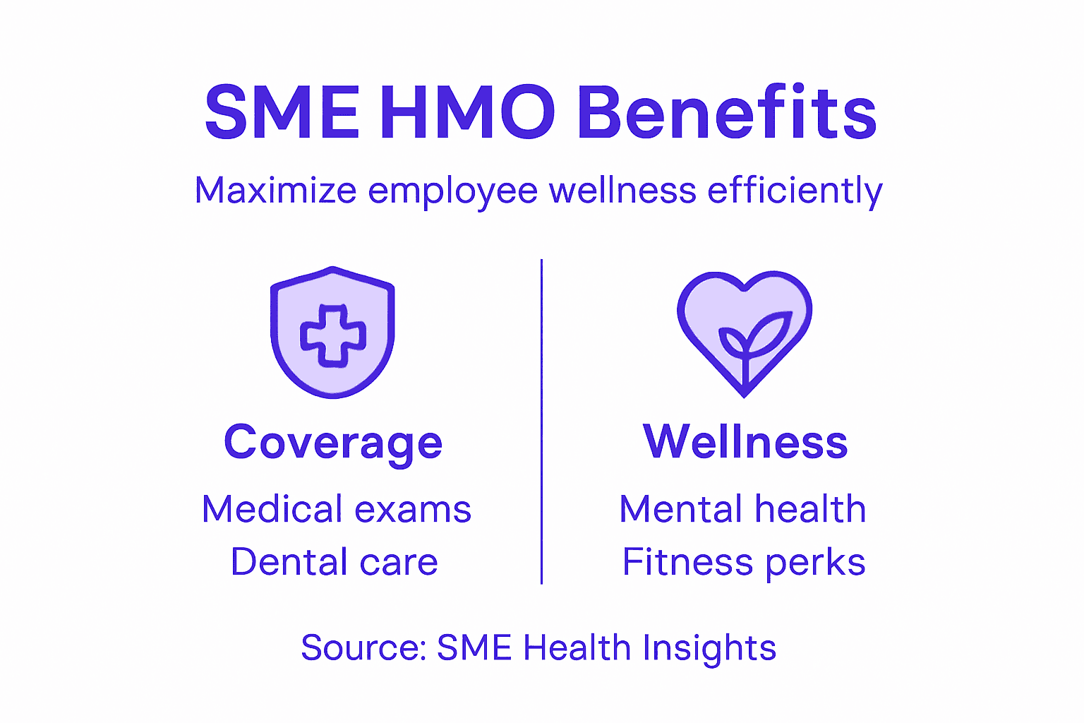 Infographic of HMO benefits for SMEs