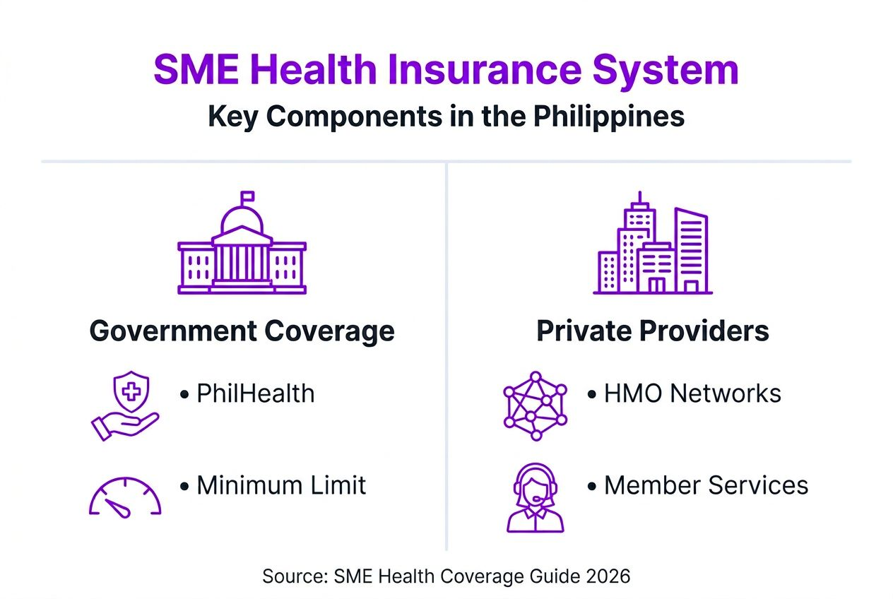 Infographic showing SME health insurance system
