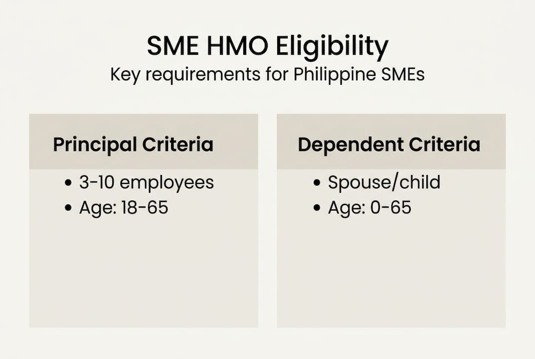 Infographic on SME HMO eligibility criteria