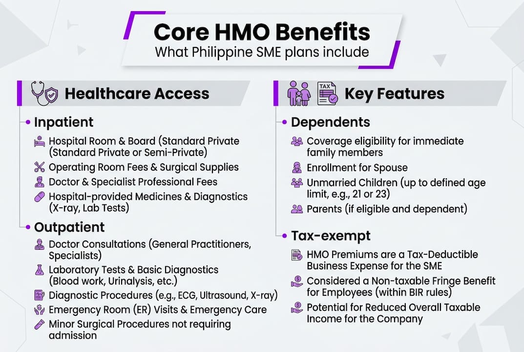 Infographic summarizing core SME HMO benefits