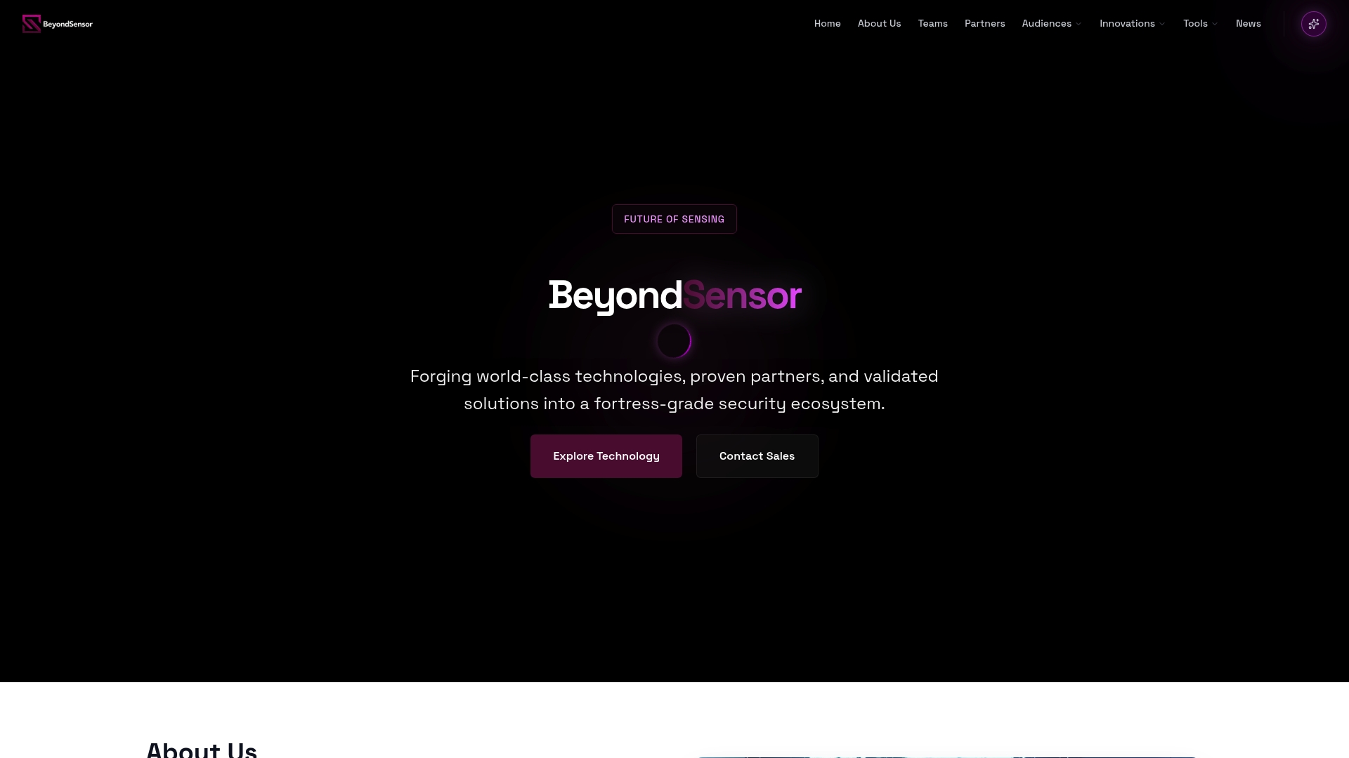 https://beyondsensor.com