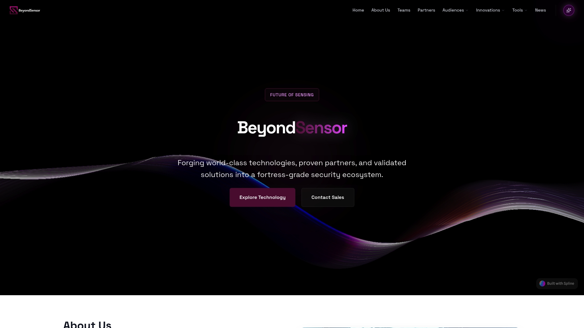 https://beyondsensor.com