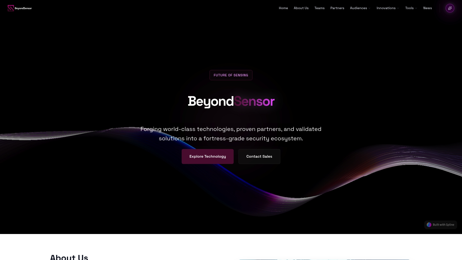 https://beyondsensor.com