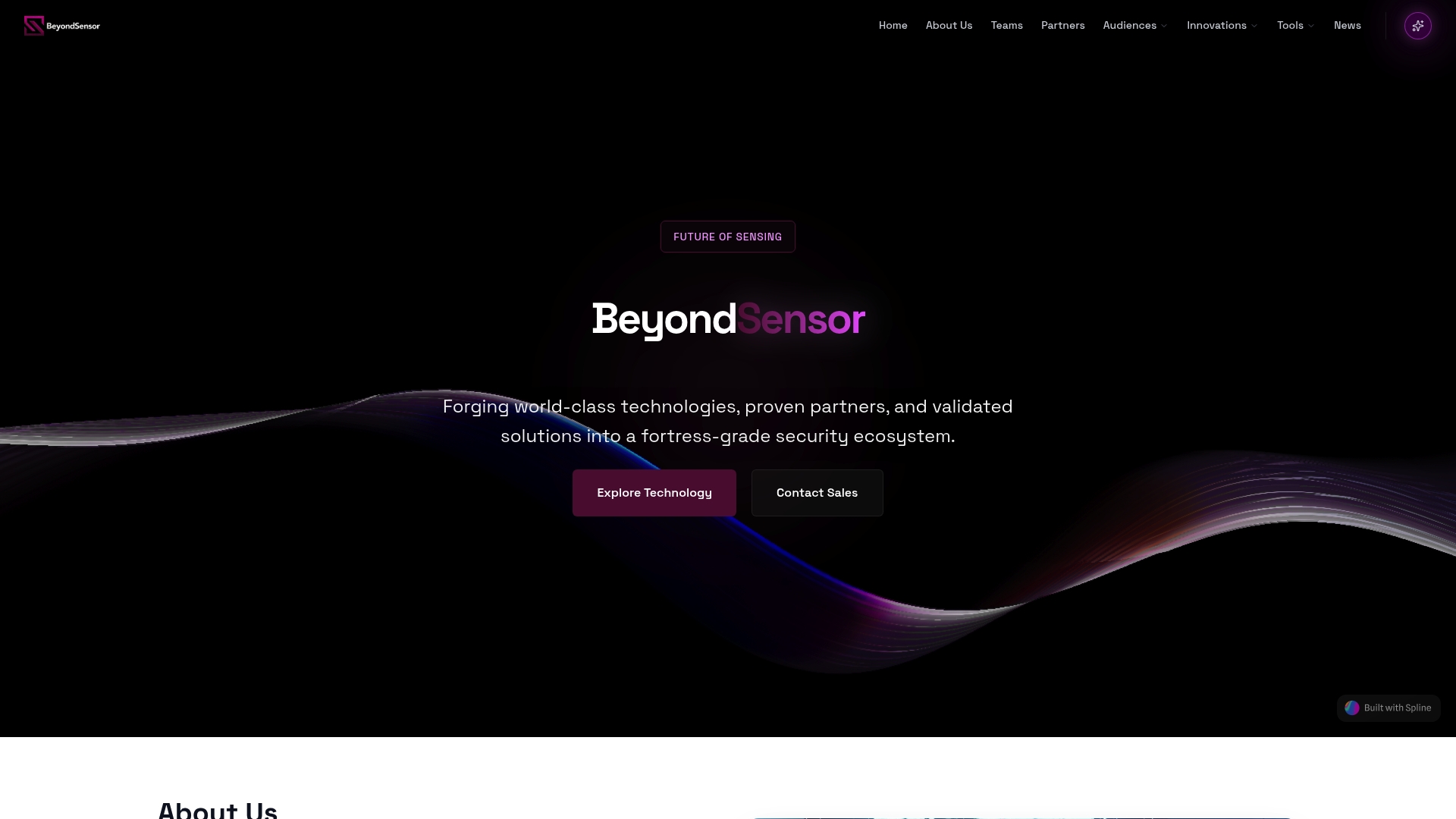 https://beyondsensor.com