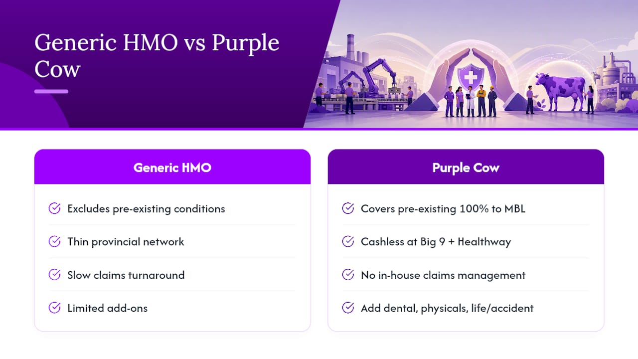 Get an HMO Plans Quote Built for Your Factory — overview diagram
