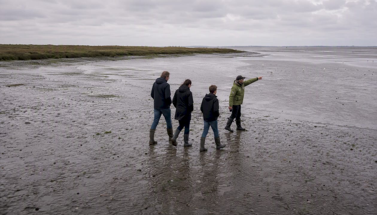 Met het hele gezin op avontuur tijdens een wadlooptocht onder begeleiding van een ervaren gids.