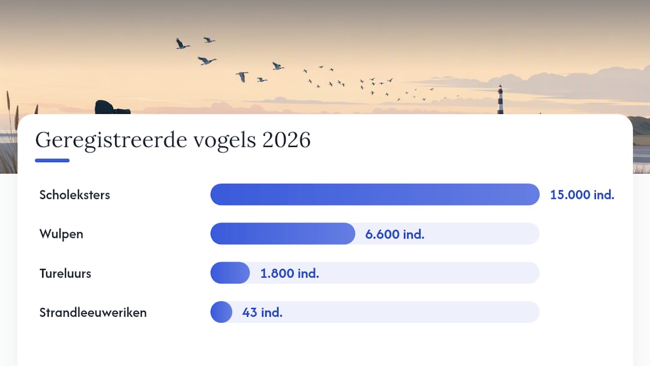 Waar op Ameland tel je het beste? — overview diagram
