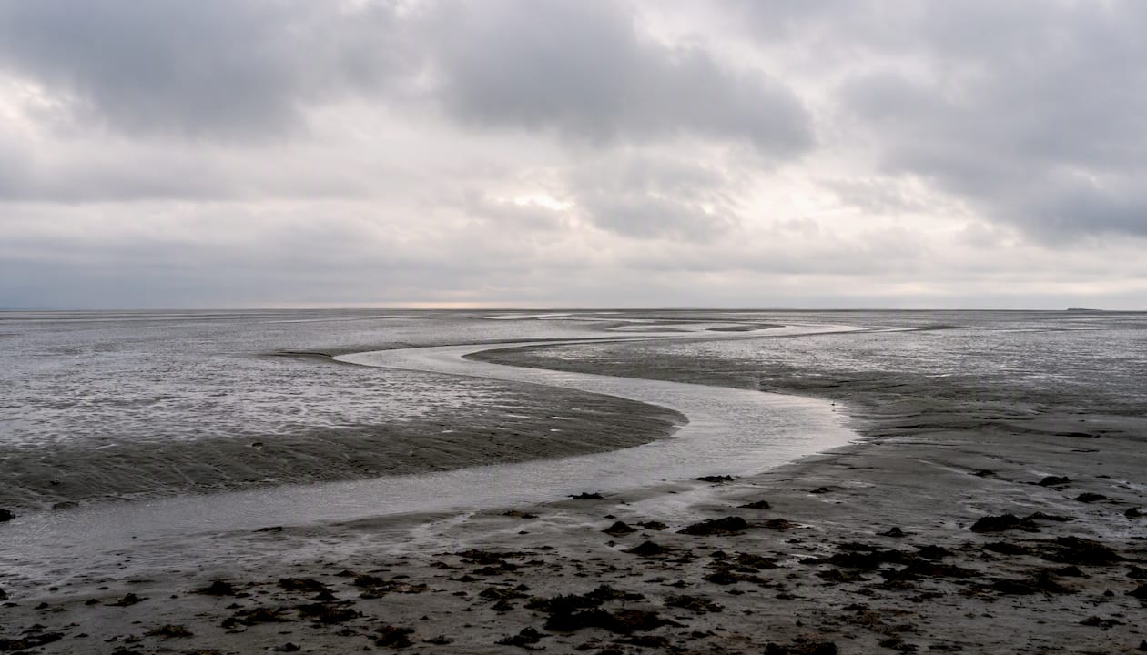 Het unieke landschap van de Waddenzee, met zijn slingerende geulen en uitgestrekte slikken, biedt een prachtig schouwspel van eb en vloed.