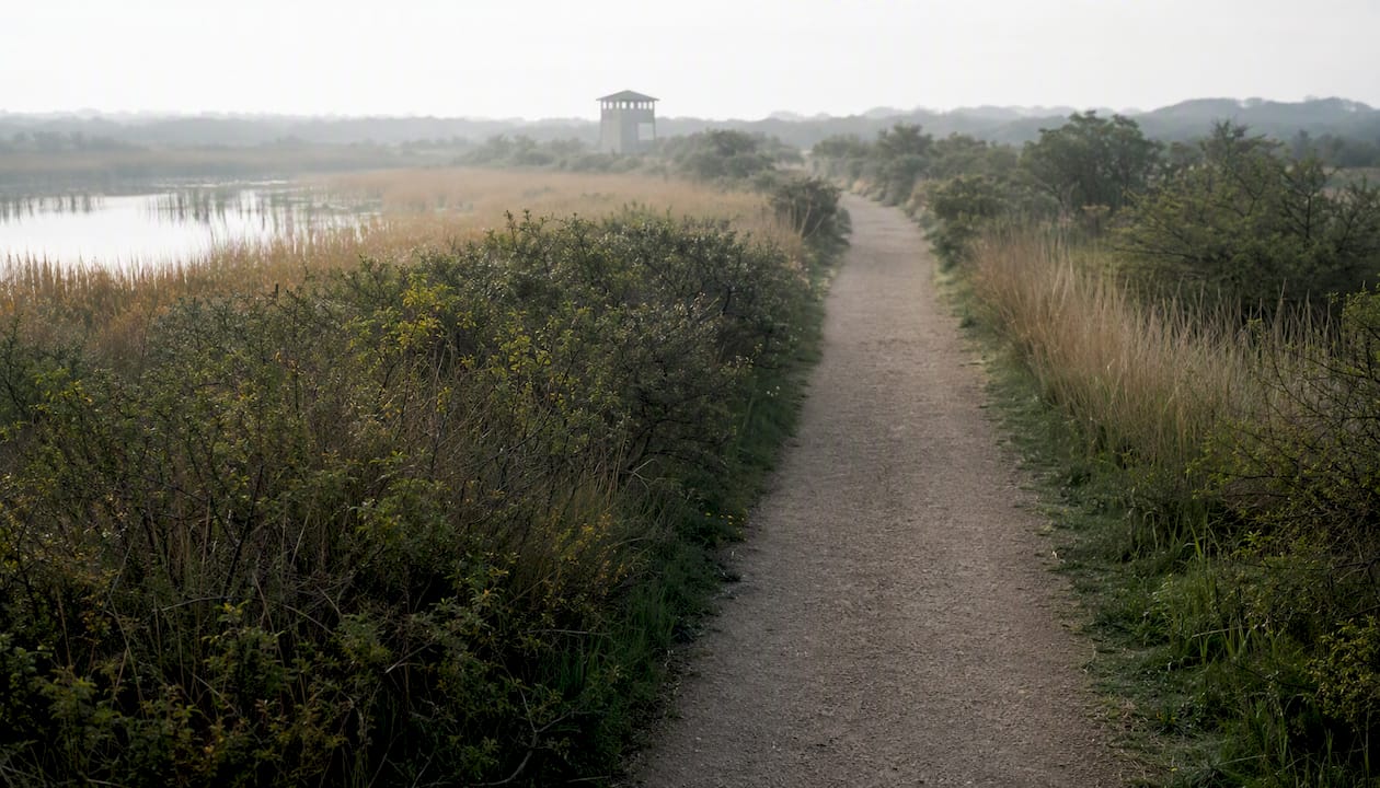Rustig wandelpad door de Zwanewaterduinen