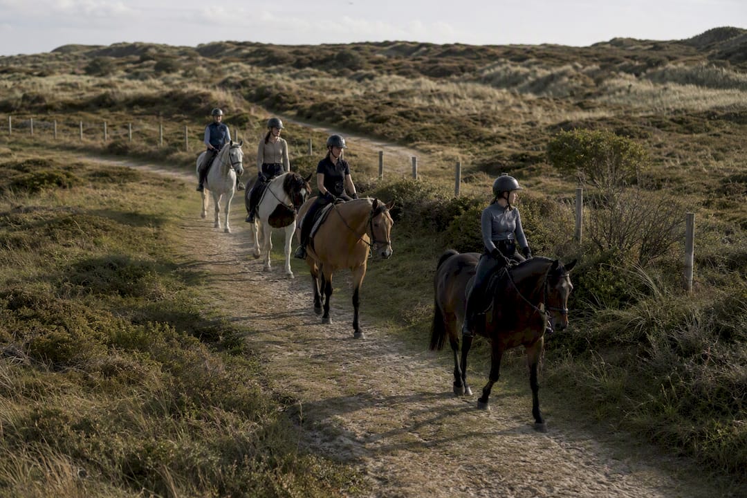 Kleine groep rijdt te paard in de duinen van Ameland