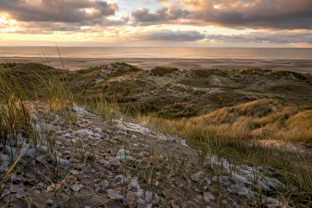 Kustduinen met aangespoeld afval op Ameland