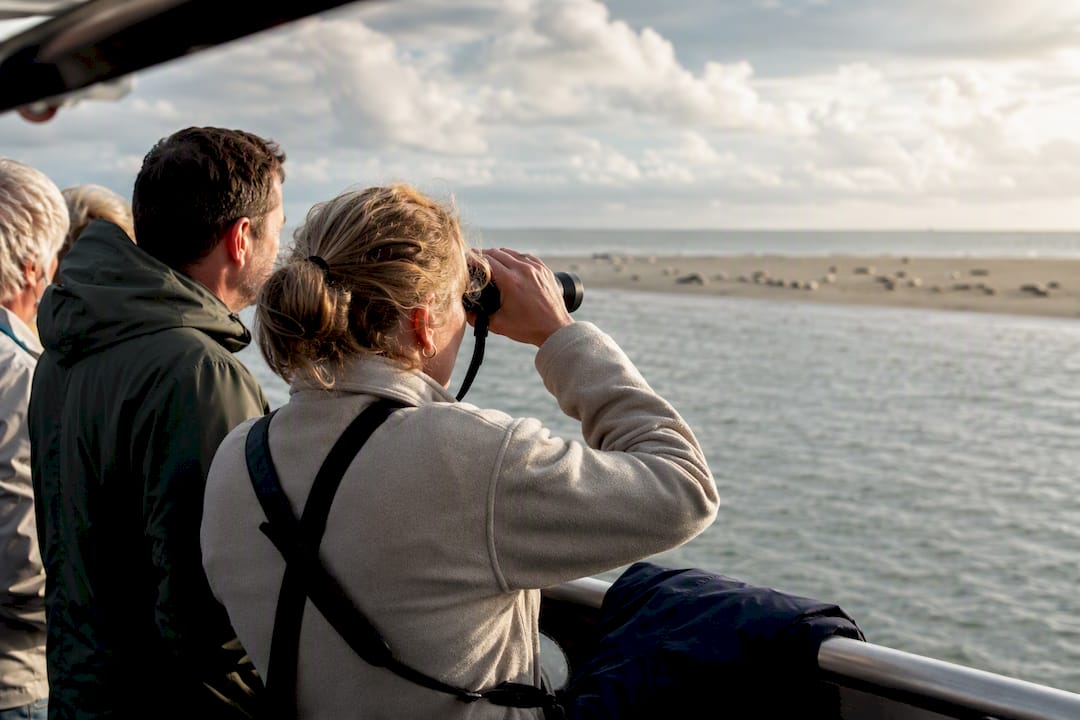 Bezoekers speuren vanaf een boot naar zeehonden