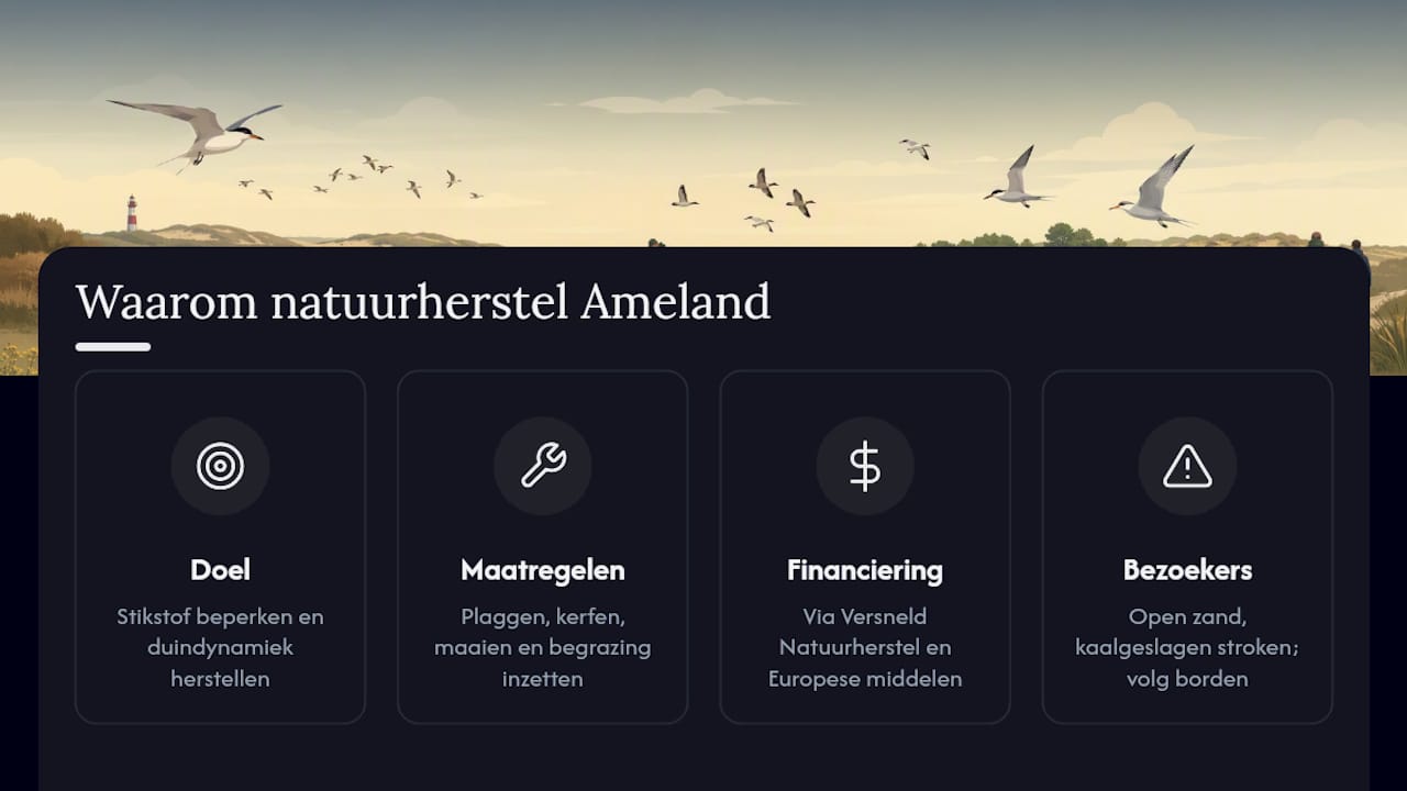 Waarom voert It Fryske Gea natuurherstel uit op Ameland? — overview diagram