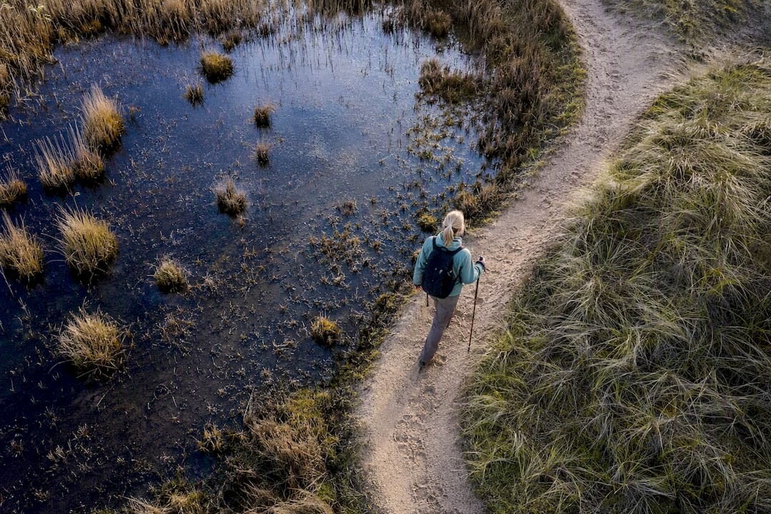 Droge omleiding voor wandelaars langs een natte duinvallei