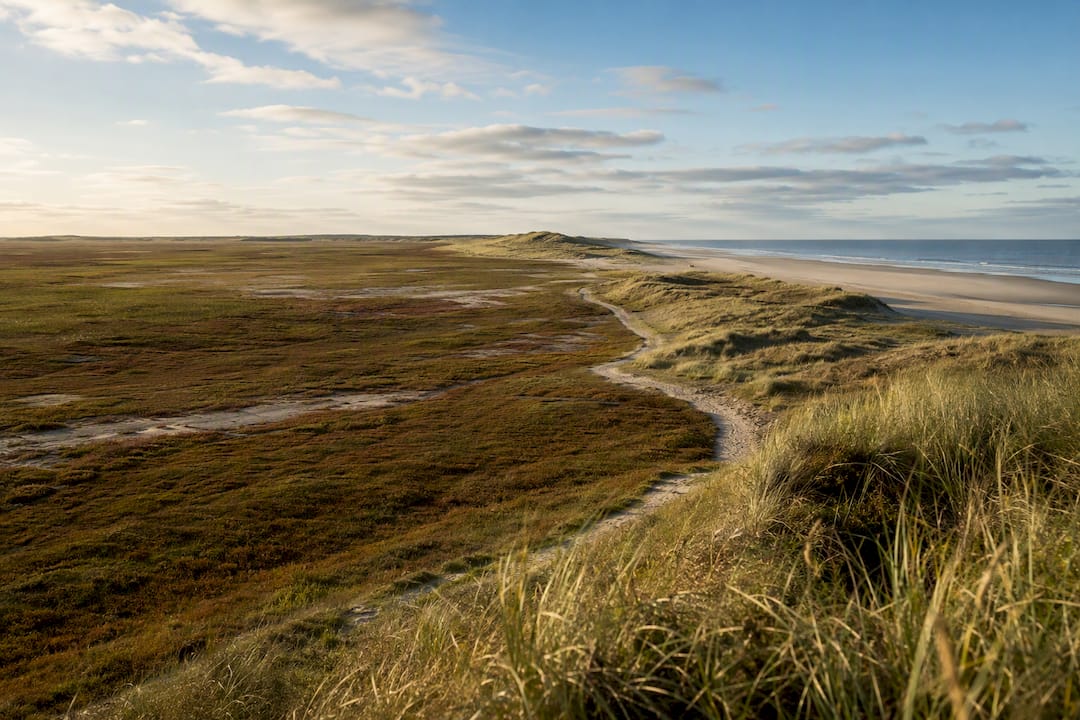 Kwelder, duinen en het Groene Strand