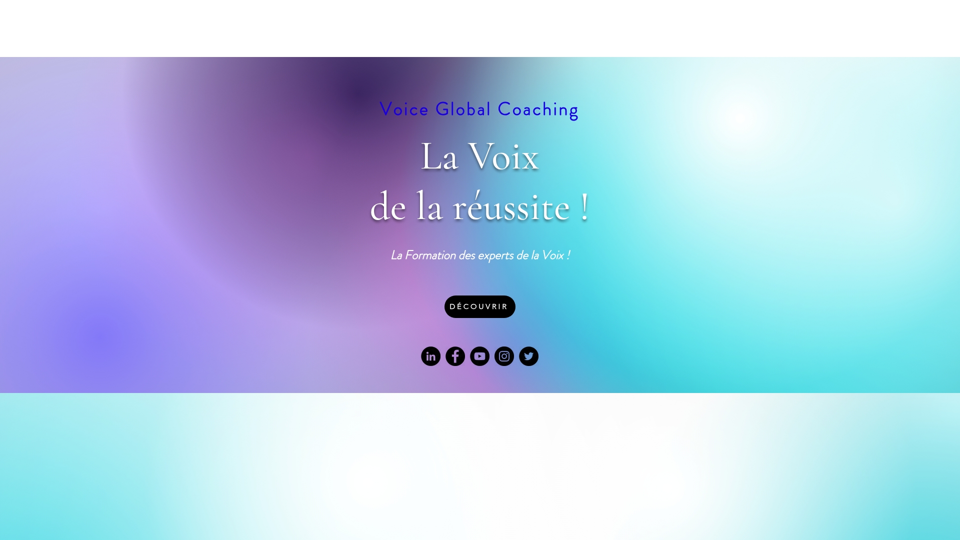 https://voiceglobalcoaching.com