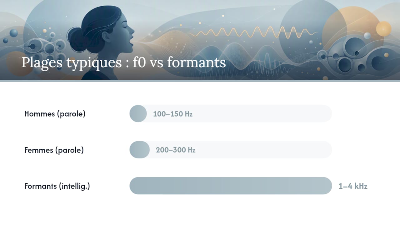 Schéma comparatif des plages de fréquences fondamentales de la voix selon les différents groupes