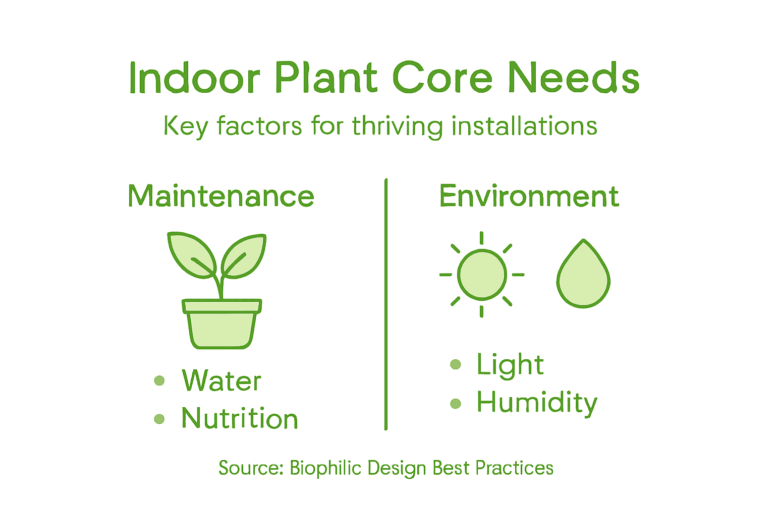 Core needs for indoor plant care infographic