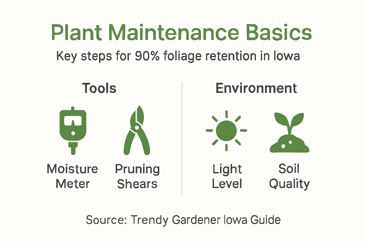 Infographic summarizing Iowa plant care steps