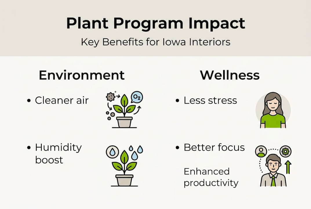 Infographic on plant programs and benefits
