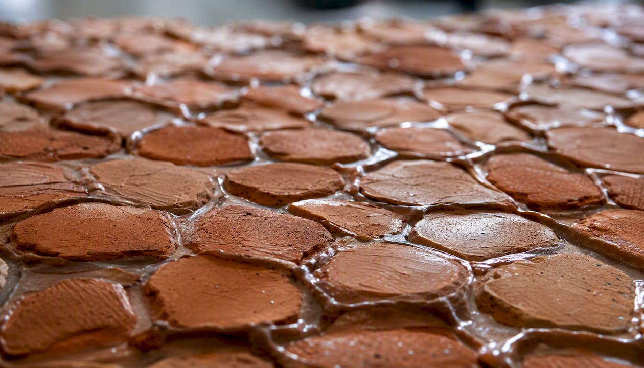 Close-up model of skin barrier structure