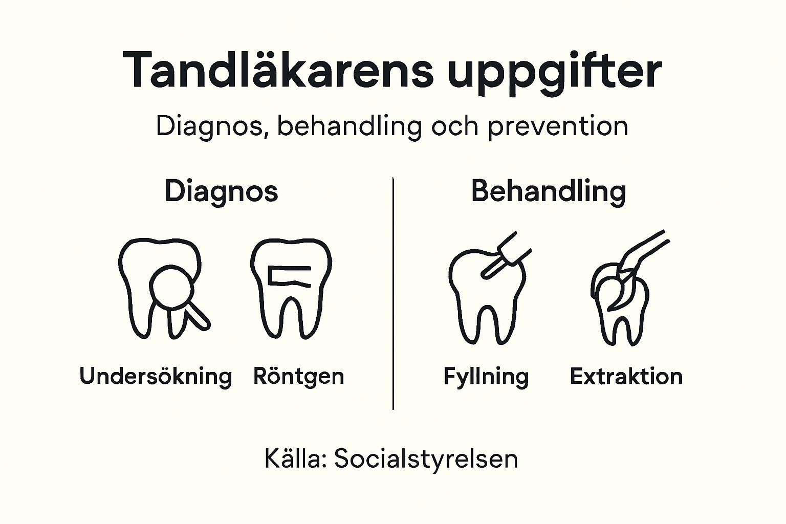 Infografik: Vad gör en tandläkare?