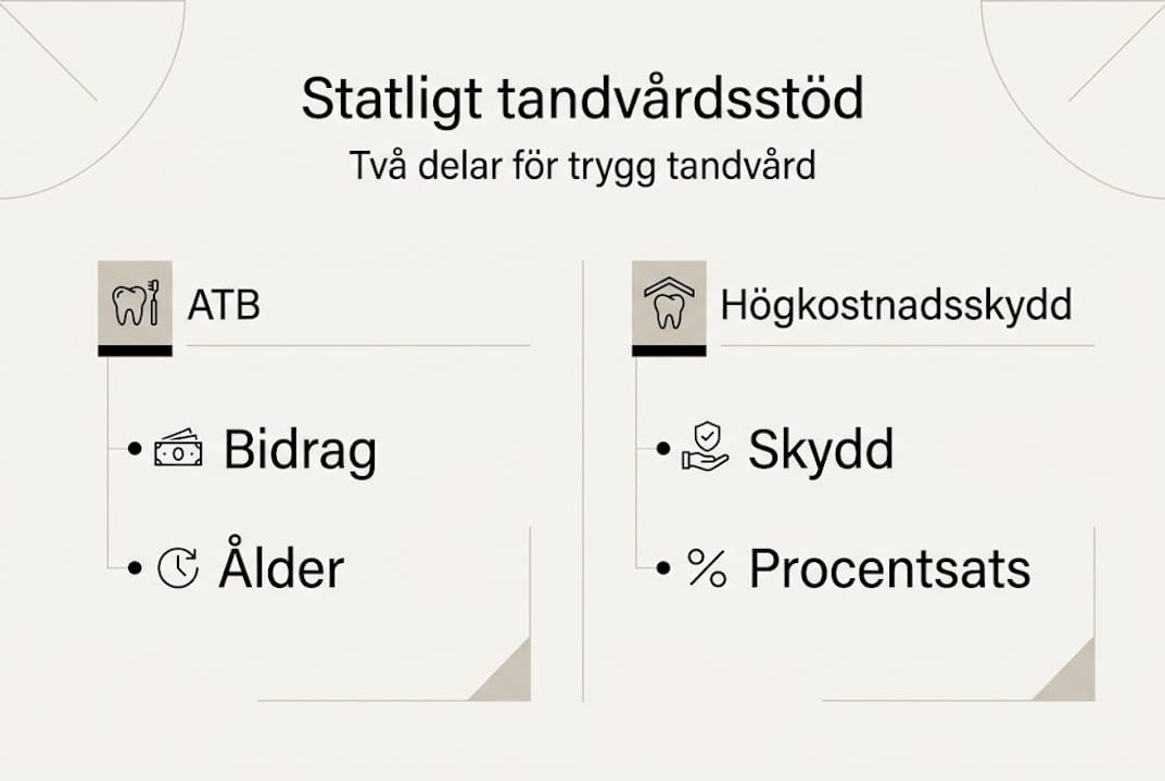 Grafisk översikt: Så fungerar det statliga tandvårdsstödet