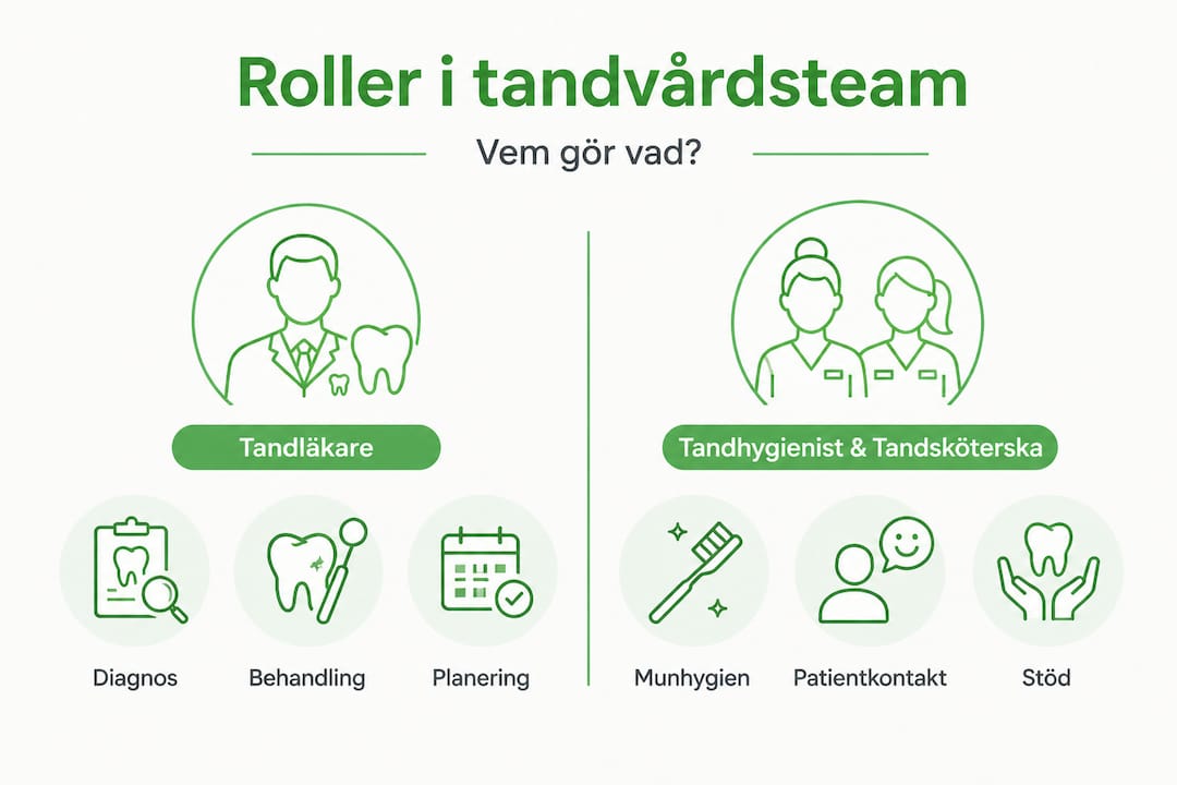 Grafisk översikt över olika yrkesroller inom tandvårdsteamet