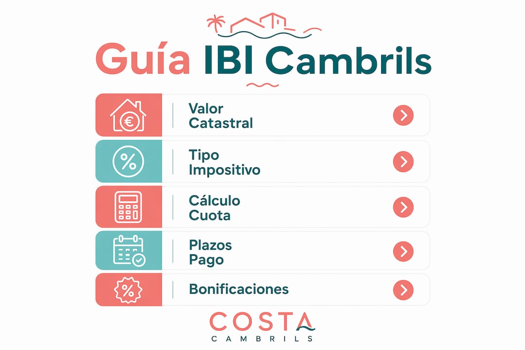 Guía visual con los pasos esenciales para comprender y abonar el IBI