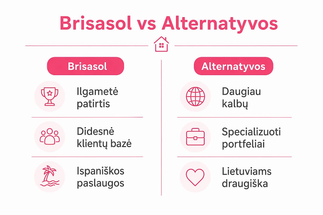 Vizualinis palyginimas: Brisasol paslaugos ir kiti rinkos pasiūlymai