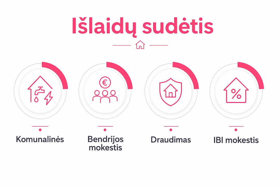 Vizualus gidas: svarbiausios išlaidos namų priežiūrai