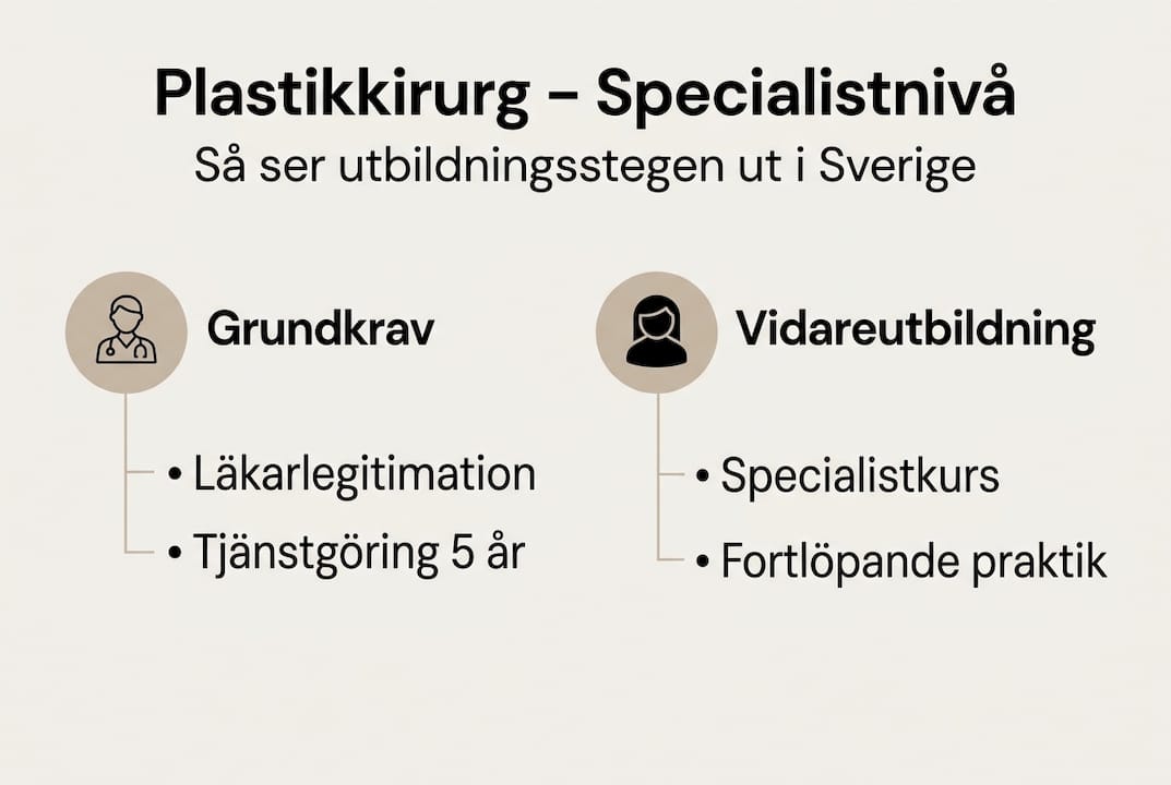 Illustration: Vad krävs för att bli specialist inom plastikkirurgi?