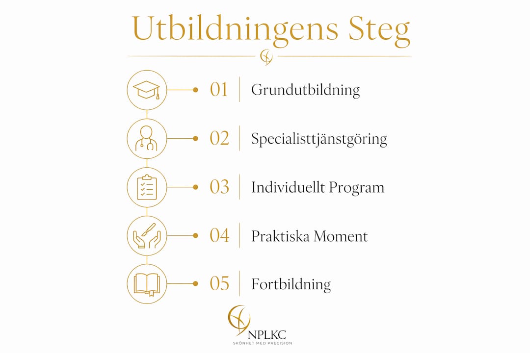 Illustration som visar vägen till att bli plastikkirurg – steg för steg