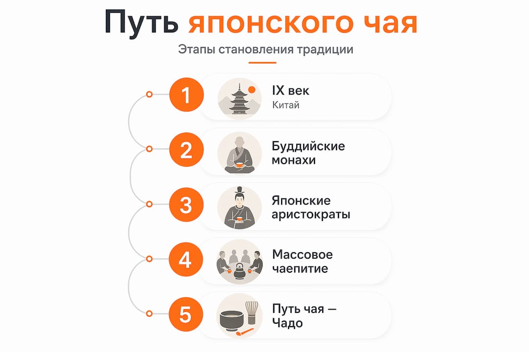 Инфографика: как чай пришёл в Японию и как он там развивался