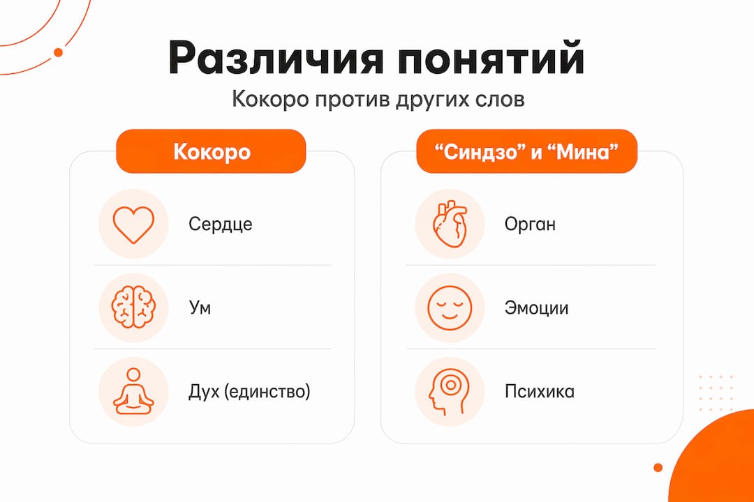На инфографике показано, чем кокоро отличается от других схожих понятий.