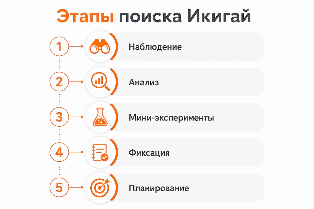 Инфографика: этапы поиска своего икигай