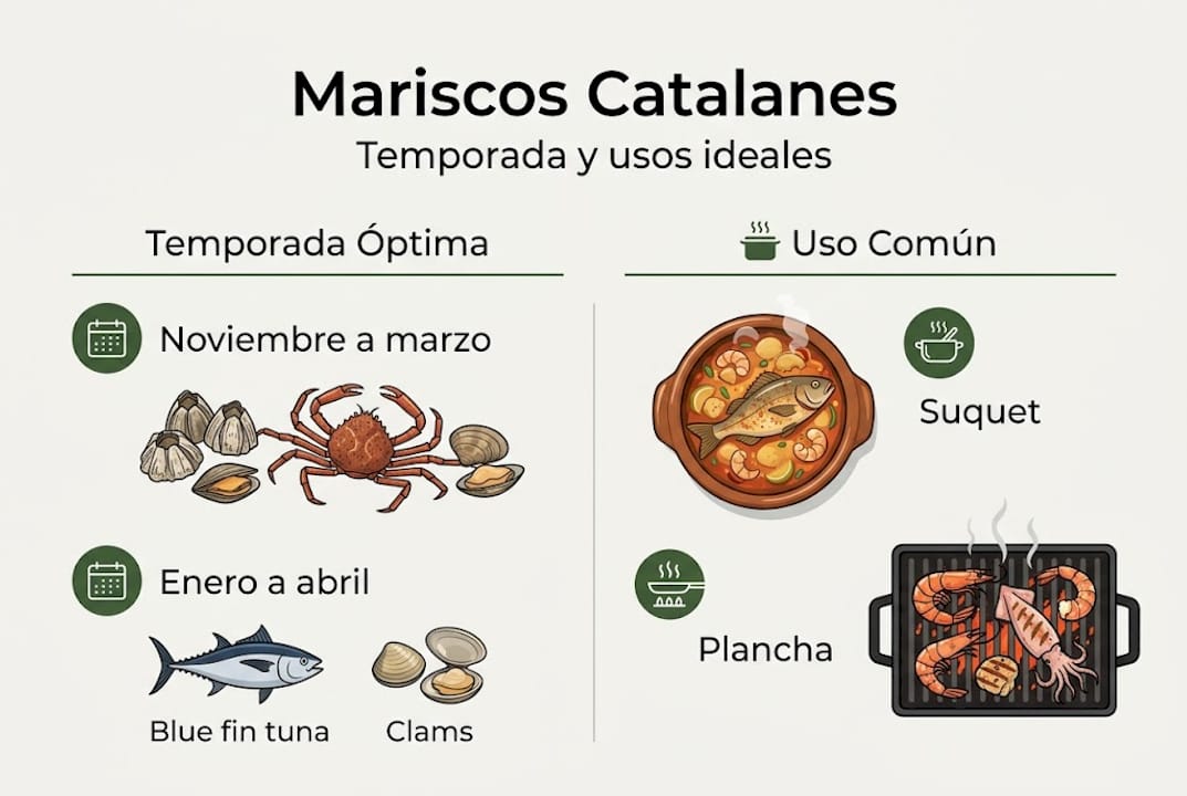 Guía visual sobre cuándo disfrutar los mejores mariscos de Cataluña