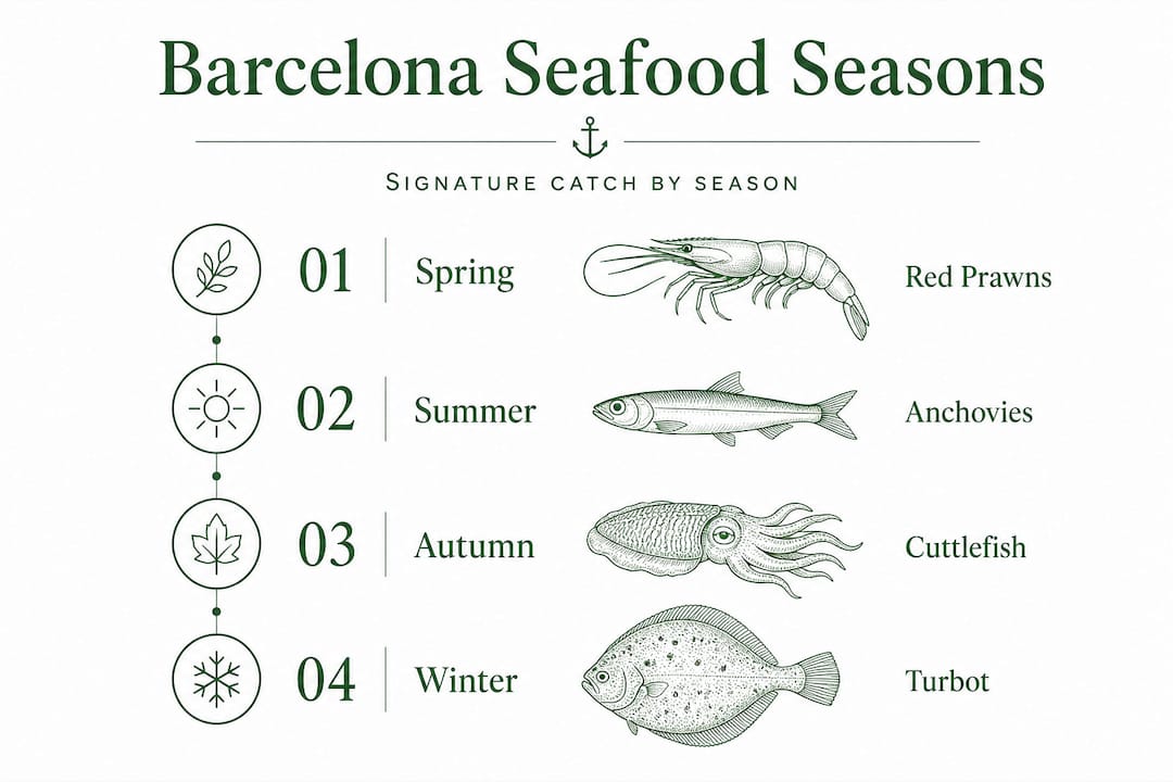 Infographic of seafood by season in Barcelona