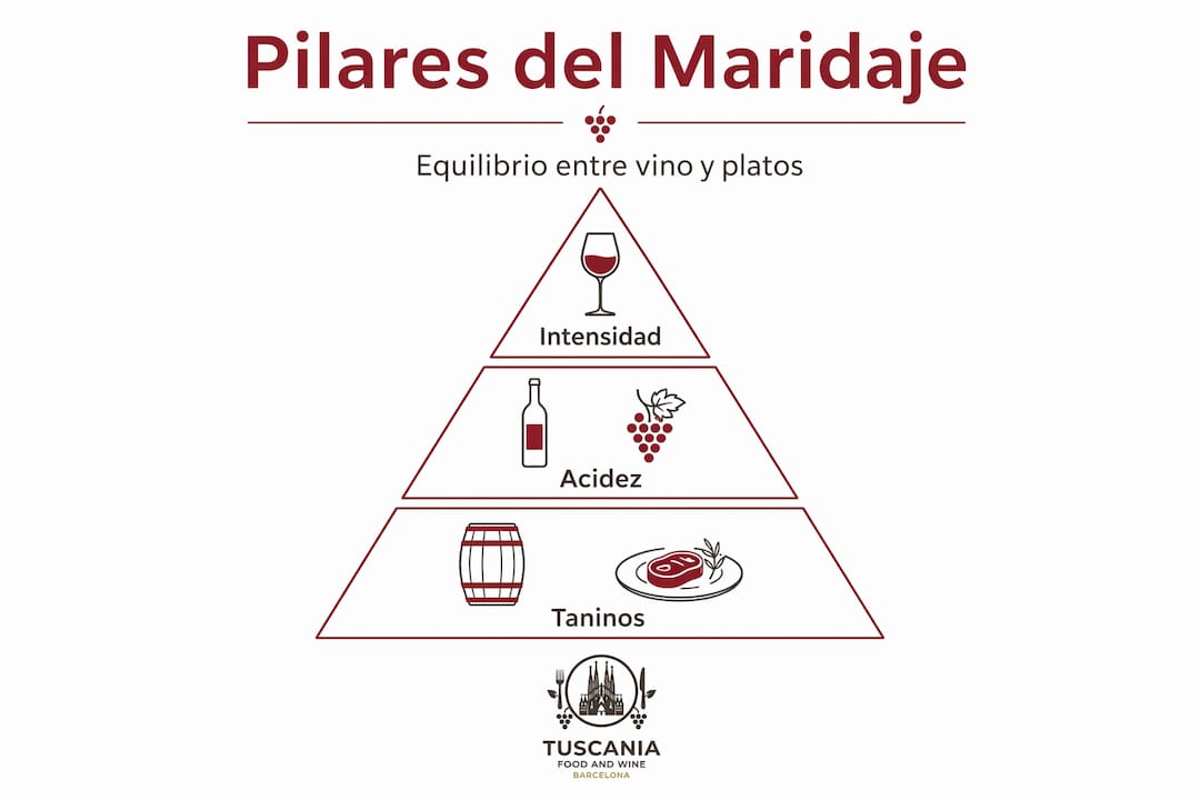 Infografía con los principios básicos para maridar vino