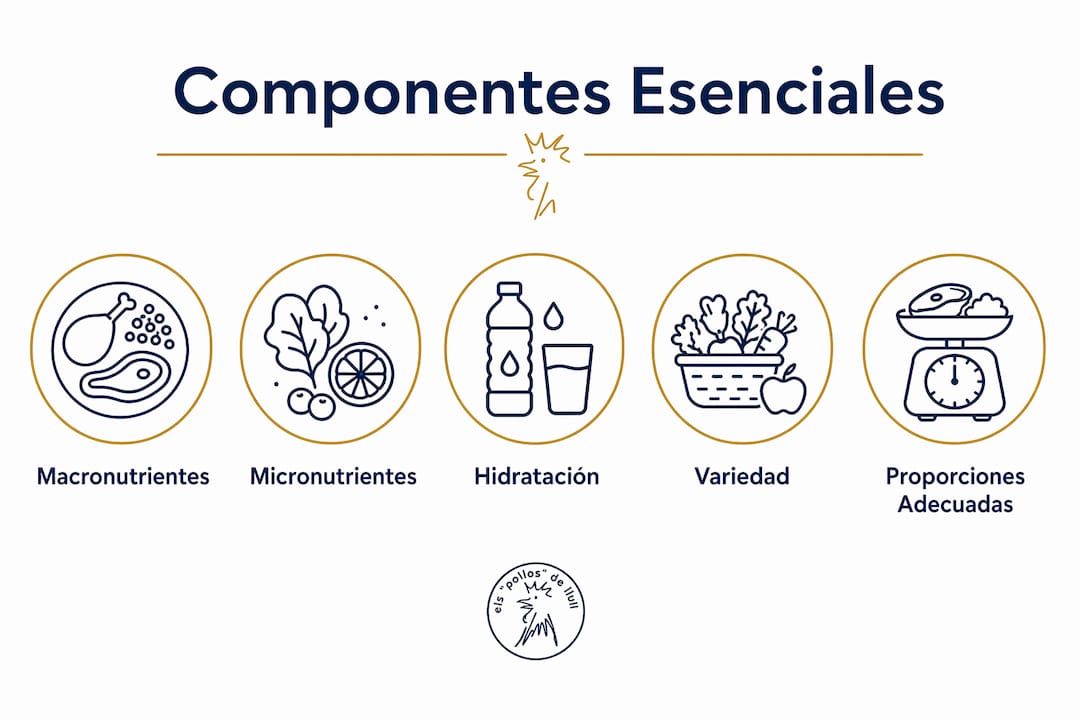 Pirámide visual con los elementos clave para una alimentación balanceada