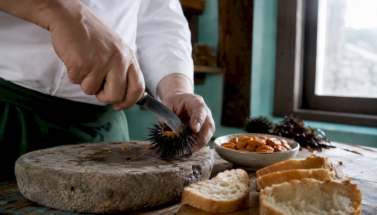 Chef preparing sea urchins with knife and bread in Catalan kitchen