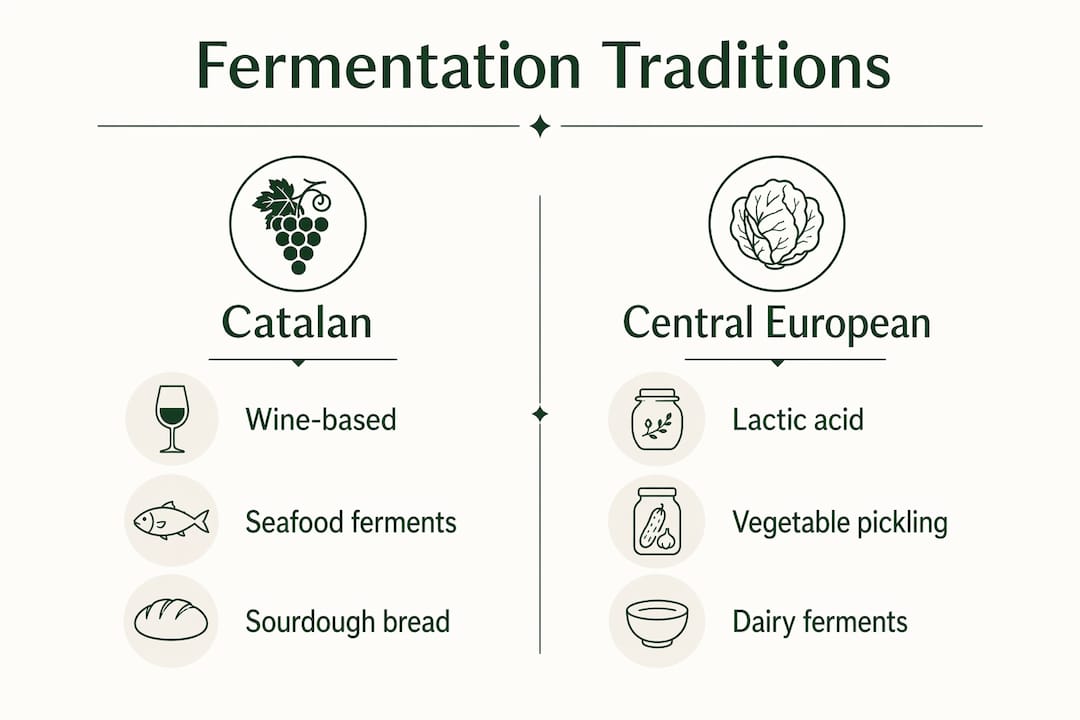 Infographic comparing Catalan and Central European fermentation