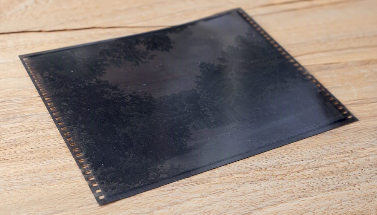 Vue rapprochée d’une feuille de négatif grand format 4x5