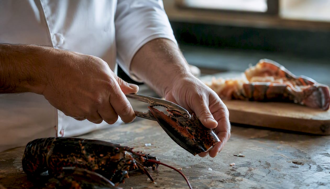 Chef cracking bogavante claw meat