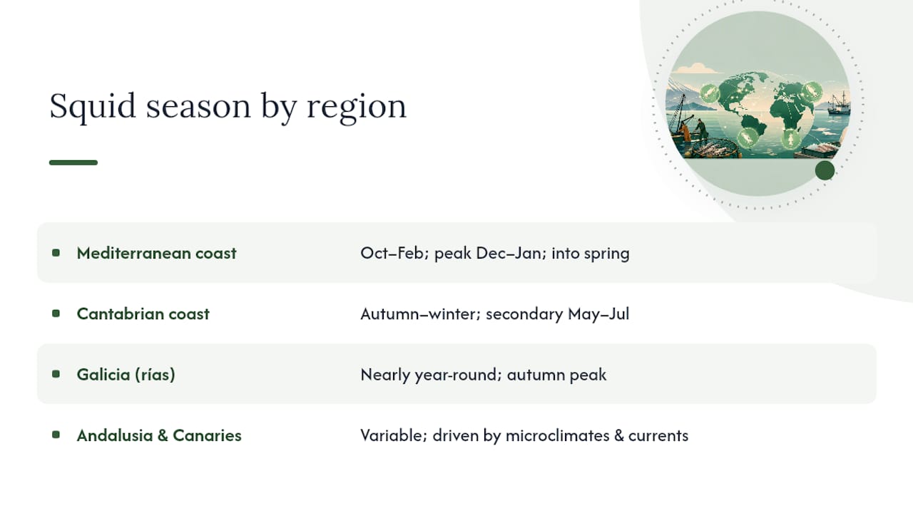 Map chart of squid season months by Spanish region