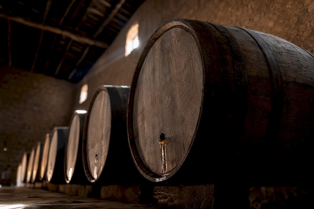 Barricas de roble en las que el tequila reposa y adquiere su sabor característico en la destilería.