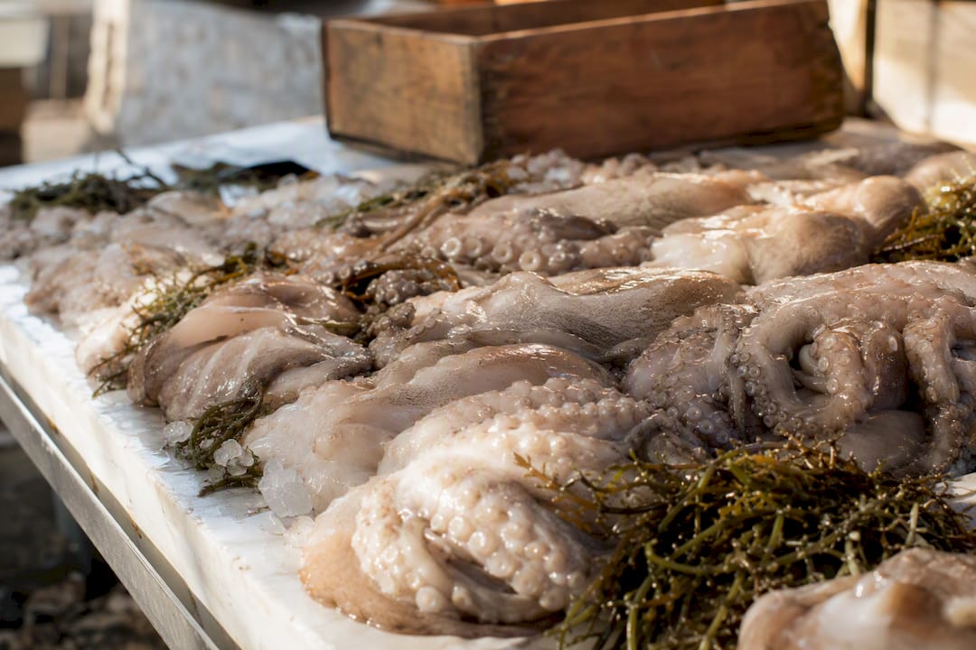 Fresh langoustines on ice at market