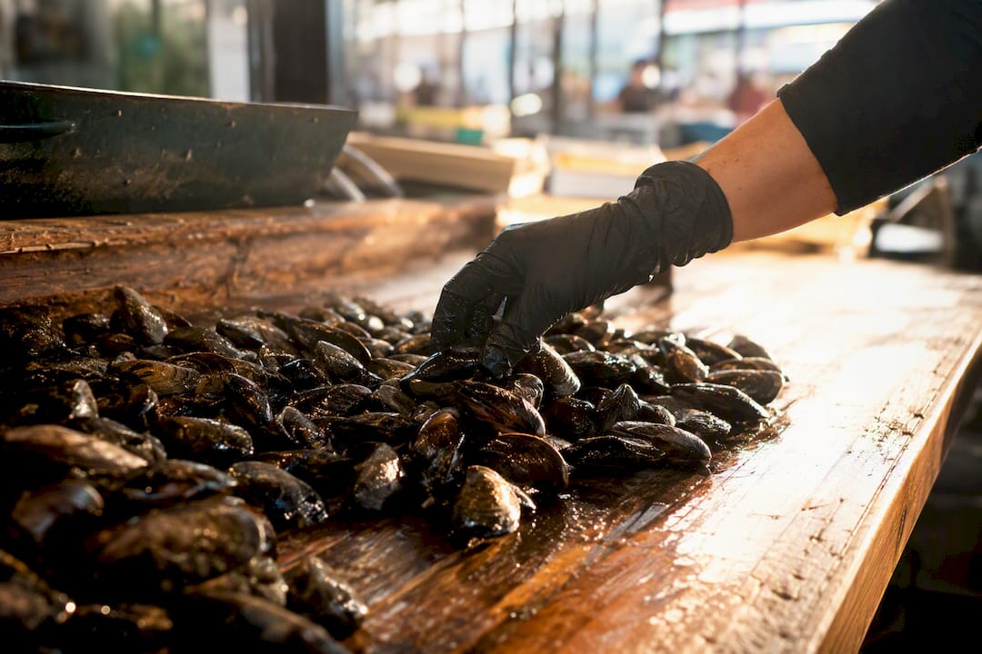 Fresh mussels on ice at seafood market